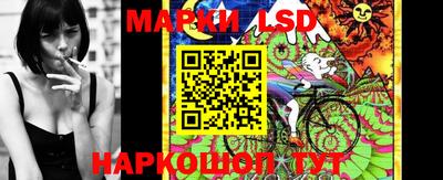 тгк Новокубанск